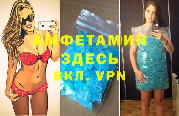 гидра Алексеевка