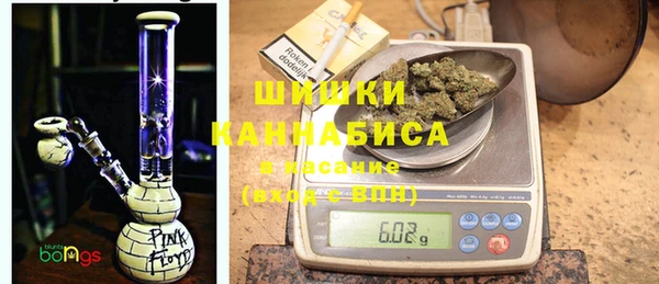 крисы Бронницы
